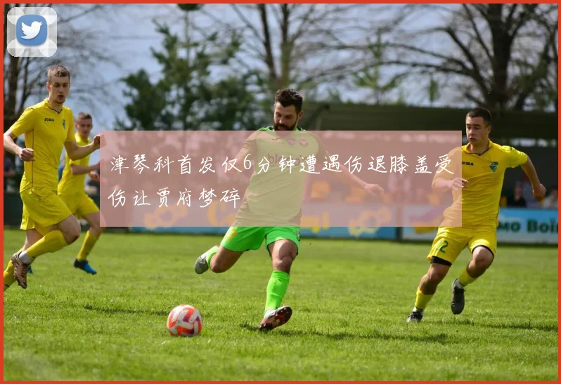 津琴科首发仅6分钟遭遇伤退膝盖受伤让贾府梦碎