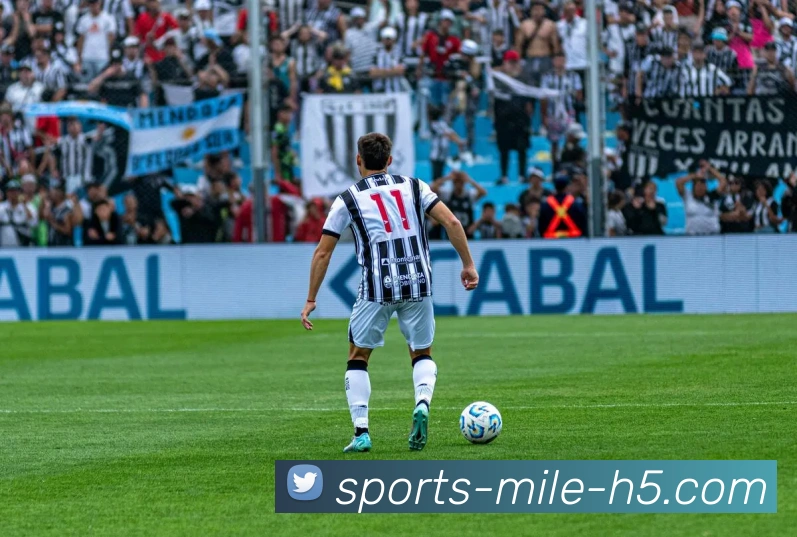 米乐体育APP 封面图